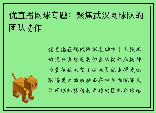 优直播网球专题：聚焦武汉网球队的团队协作