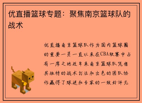 优直播篮球专题：聚焦南京篮球队的战术